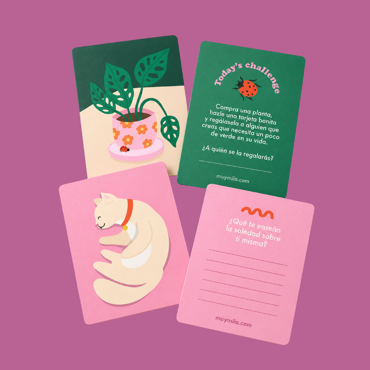 Wellness Cards